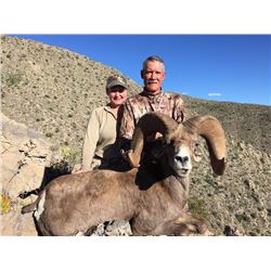 7-day Mexican Desert Sheep hunt for one hunter and one observer