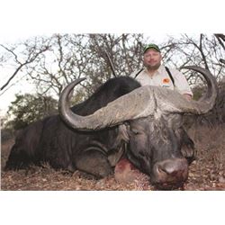 7-day South African Cape Buffalo hunt for one hunter