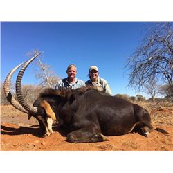 6-day South African Sable Hunt for One Hunter and $500 Credit Towards Plains Game Hunt for a Second 
