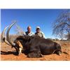 Image 1 : 6-day South African Sable Hunt for One Hunter and $500 Credit Towards Plains Game Hunt for a Second 
