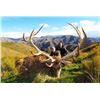 Image 1 : 4-day New Zealand Red Stag Hunt for One Hunter and One Observer