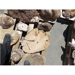 BURLS - SOLD ON CHOICE