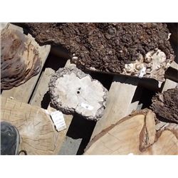 BURLS - SOLD ON CHOICE