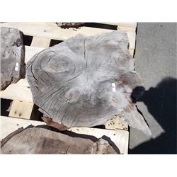 BURLS - SOLD ON CHOICE