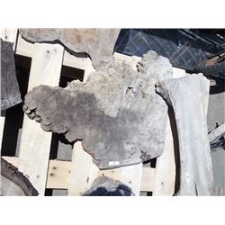 BURLS - SOLD ON CHOICE