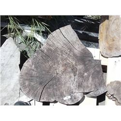 BURLS - SOLD ON CHOICE