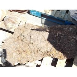 BURLS - SOLD ON CHOICE