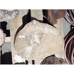 BURLS - SOLD ON CHOICE