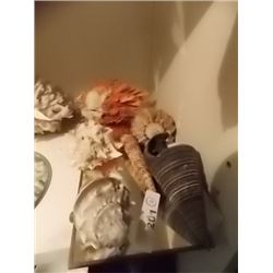LOT OF SEA SHELLS - 6 TTL