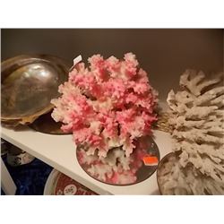 LARGE CORAL - PINK