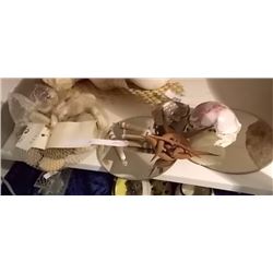 ASSORTED SHELLS, BAG OF POLISHED ROCKS AND MORE