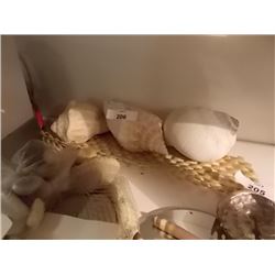 LARGE SEA SHELLS - 3 TTL