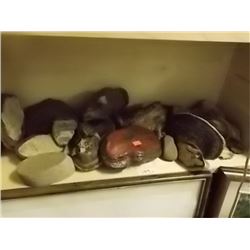 SHELF ASSORTED TREE FUNGI - LARGE AND MED AND SMALL