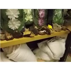 SHELF ASSORTED TREE FUNGI - LARGE AND MED AND SMALL