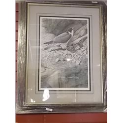 FRAMED LIMITED EDITION - PEREYRINE FALCON - TERRANCE J BOND - GALLERY ESTIMATE $625