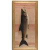Image 1 : SETH W. STEWARD (American, 1844-1927) “LAKE TROUT”