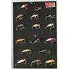 Image 1 : HEDDON SIXTEEN LURE DISPLAY BOARD