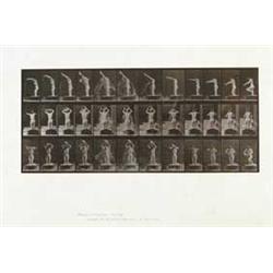 EADWEARD MUYBRIDGE (1830-1904) ANIMAL LOCOMOTION PLATE 409