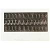 Image 1 : EADWEARD MUYBRIDGE (1830-1904) ANIMAL LOCOMOTION PLATE 409