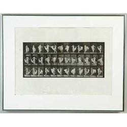 EADWEARD MUYBRIDGE (1830-1904) ANIMAL LOCOMOTION PLATE 192