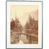Image 1 : CARLETON E. WATKINS (1829-1916) YOSEMITE WOODS AND RIVER