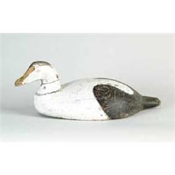 PAINTED AND CARVED BLACK AND WHITE EIDER DECOY