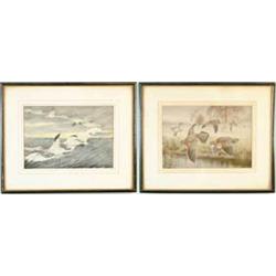 REX BRASHER (American, 1869-1960) TWO COLORED BIRD PRINTS