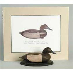 INTERESTING PRINT AND DUCK CARVING BY JOHN DAWSON