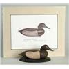 Image 1 : INTERESTING PRINT AND DUCK CARVING BY JOHN DAWSON