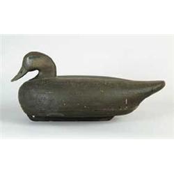 PAINTED AND CARVED BLACK DUCK DECOY