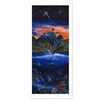 Image 1 : Oasis Limited Edition Mixed Media by Robert Lyn Nelson! Numbered and Hand Signed with Certificate of