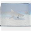 Image 2 : Wyland: Visions Of The Sea (2008) Limited Edition Collector's Fine Art Book by World-Renowned Artist