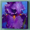 Image 1 : "Dancer" Limited Edition Giclee on Canvas by Simon Bull, Numbered and Signed with Certificate of Aut