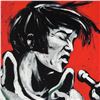 Image 2 : "Elvis Presley (Revolution)" LIMITED EDITION Giclee on Canvas by David Garibaldi, Numbered from Mini