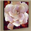 Image 1 : "Gardenia" Limited Edition Giclee on Canvas by Simon Bull, Numbered and Signed with Certificate of A