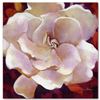 Image 3 : "Gardenia" Limited Edition Giclee on Canvas by Simon Bull, Numbered and Signed with Certificate of A