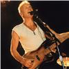 Image 2 : "Sting" Limited Edition Giclee by Rob Shanahan, Numbered and Hand Signed with Certificate of Authent