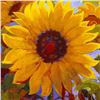 Image 2 : "Spellbound" Limited Edition Giclee on Canvas by Simon Bull, Numbered and Signed with Certificate of