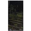 Image 3 : "Roof Party" LIMITED EDITION Giclee on Canvas (24" x 48") by David Garibaldi, AP Numbered and Signed