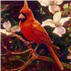 Image 2 : "Cardinal" Limited Edition Giclee on Canvas by Simon Bull, Numbered and Signed with Certificate of A