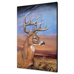 "Stunning Stag" Limited Edition Giclee on Canvas by Martin Katon (24" x 36"), Numbered and Hand Sign