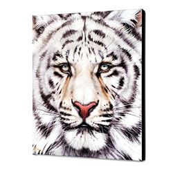 "Bengal" Limited Edition Giclee on Canvas by Martin Katon, Numbered and Hand Signed with Certificate