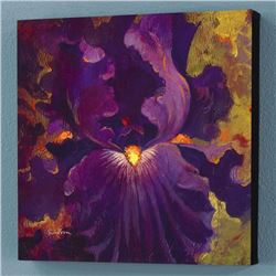 "Beautiful Dreamer" Limited Edition Giclee on Canvas by Simon Bull, Numbered and Signed with Certifi