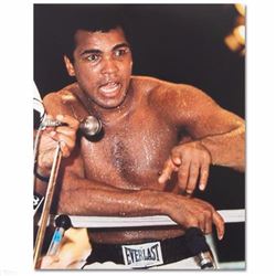 Muhammad Ali! Licensed Photograph of the Heavyweight Champ!-#2798