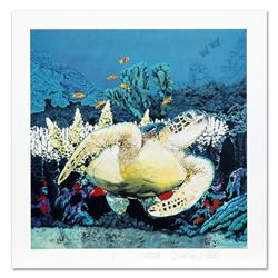 "Secrets at Silver Bank" is a LIMITED EDITION Seriolithograph by Nicole Stahl, Numbered and Hand-Sig