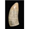 Image 1 : LARGE ENGRAVED WHALE’S TOOTH