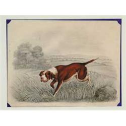 HENRY THOMAS ALKEN SR. (British, 1785-1851) ON POINT