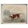 Image 1 : HENRY THOMAS ALKEN SR. (British, 1785-1851) ON POINT