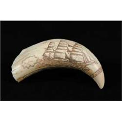 ENGRAVED POLYCHROME WHALE’S TOOTH