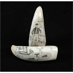 TWO ENGRAVED WHALE’S TEETH
